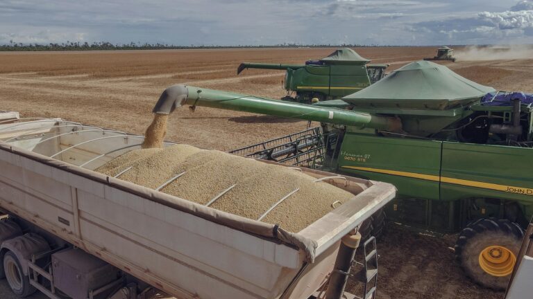 Combine harvesters loading soybeans into a truck in Paragominas, Brazil.